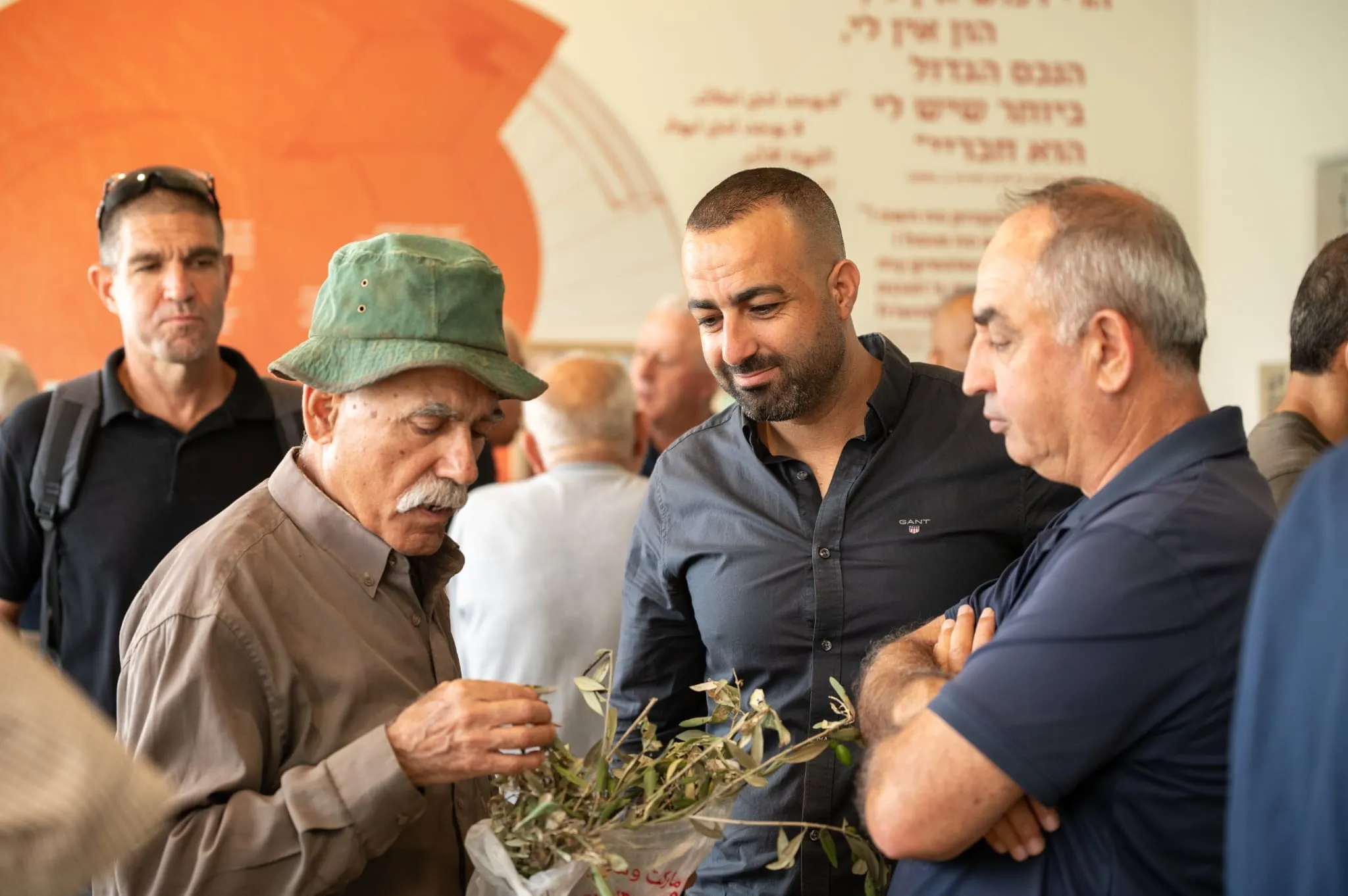 הזית כמאחד תרבויות